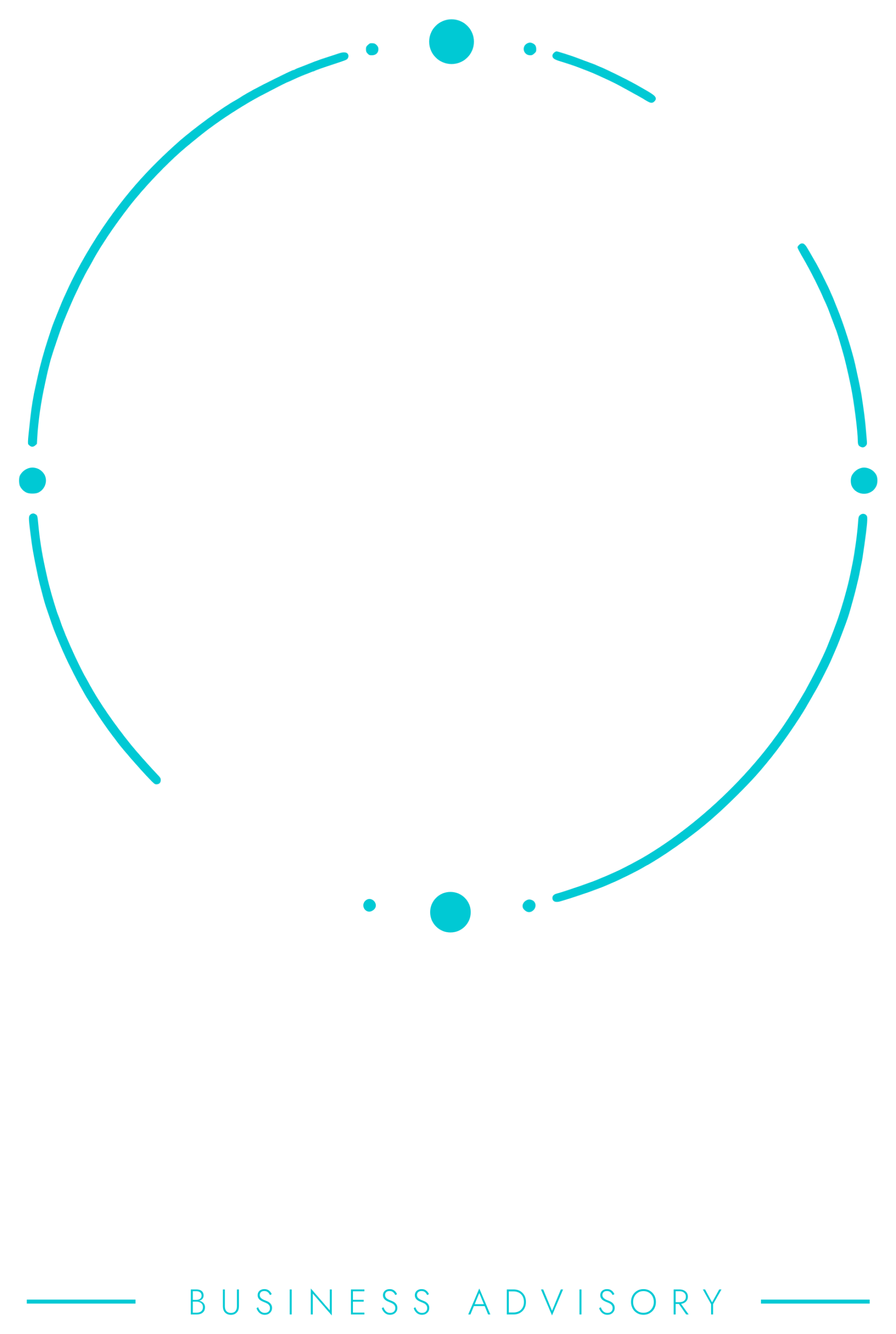 Owl Business Advisory logo